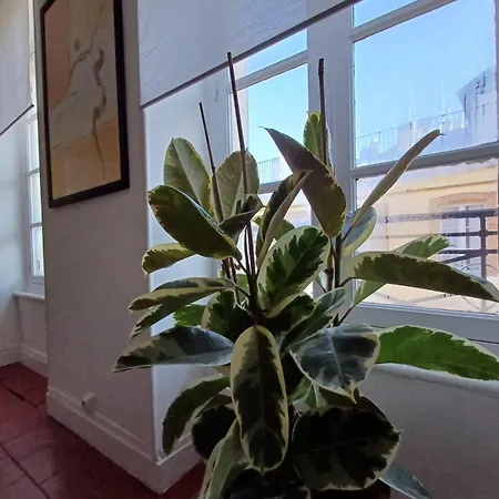 Vue Panoramique * Carcassonne