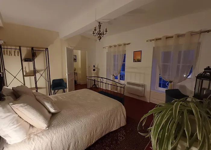 Vue Panoramique Carcassonne