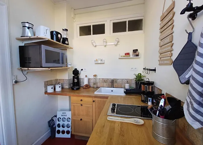 Vue Panoramique Apartment *